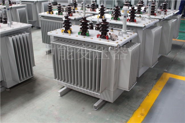 北京S22-100KVA/10KV/0.4KV变压器